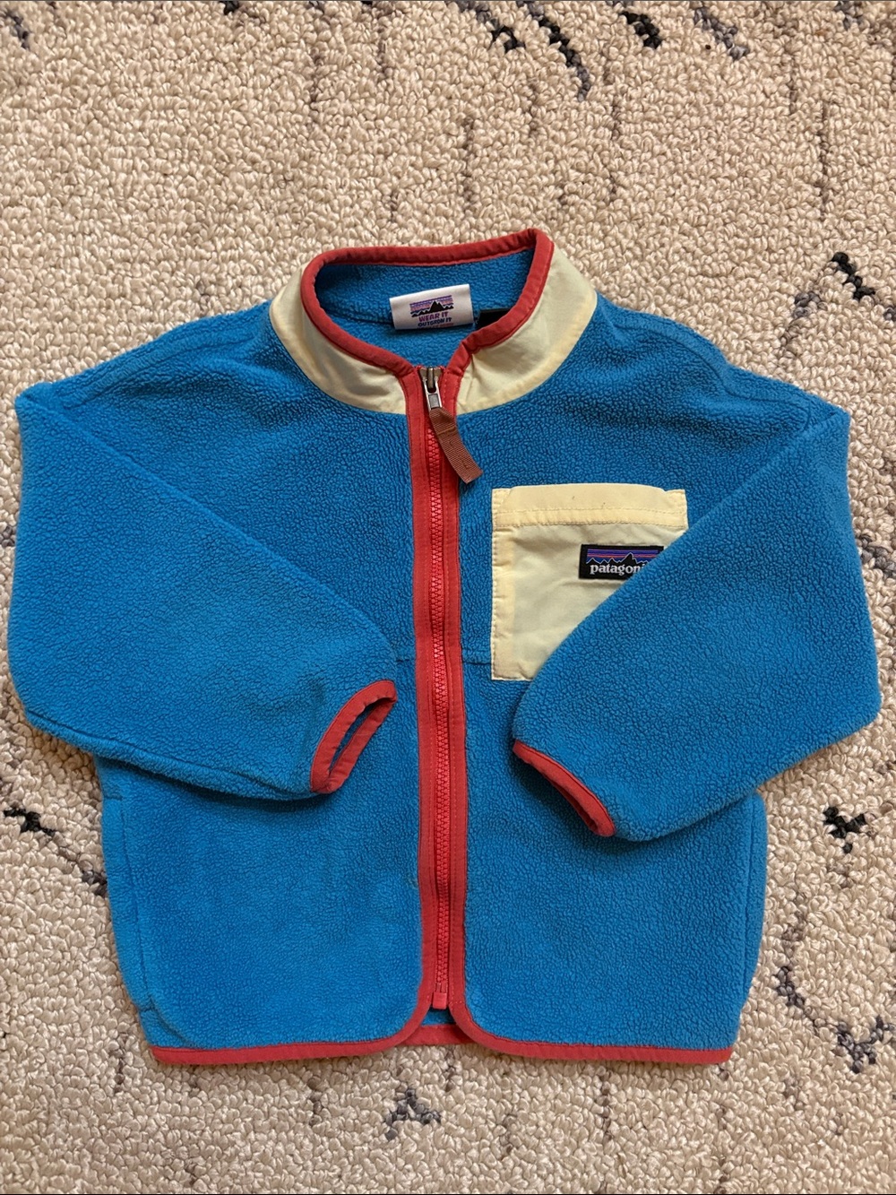 Patagonia Kids Fleece Jacket (2T)